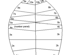 Mad Crosscut Diagram